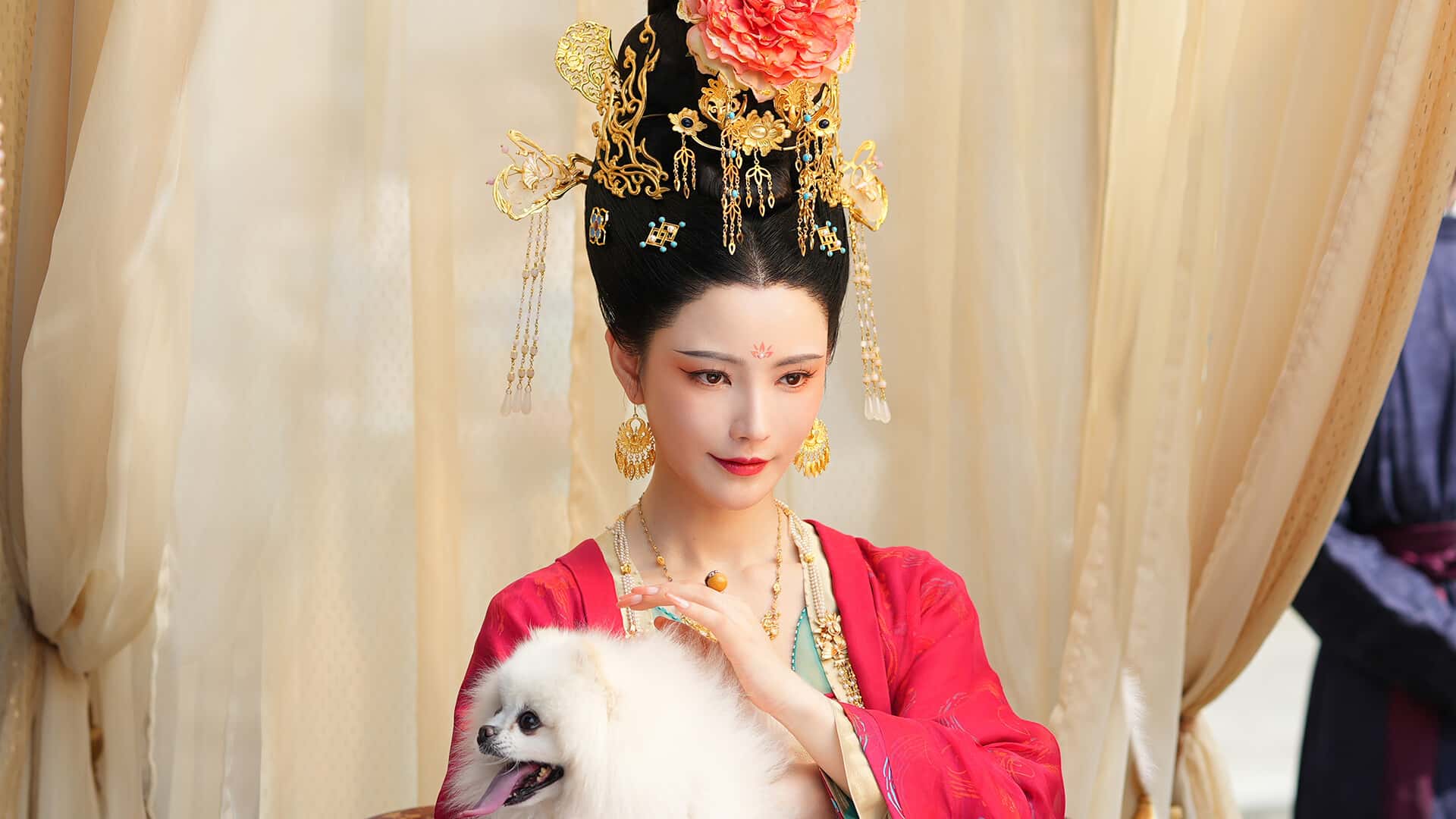 视觉数据3